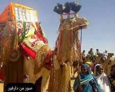 قبيلة المعاليا