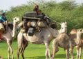 قبيلة التعايشة